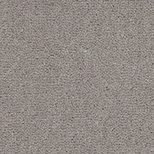Westend Exquisite Velvet Silver Birch